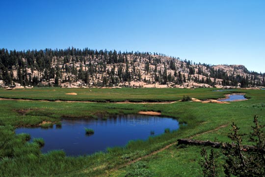 Meadow Trail to Deer Lake