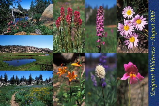 Emigrant Wilderness