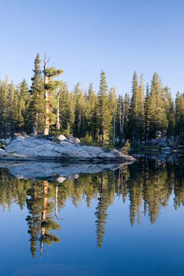 Wire Lake Morning Reflection