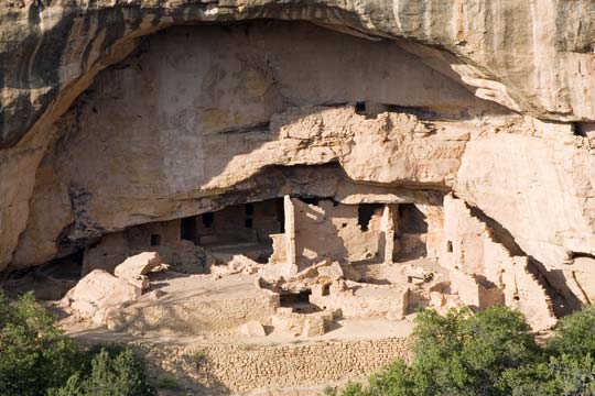 Mesa Verde Oak Tree House