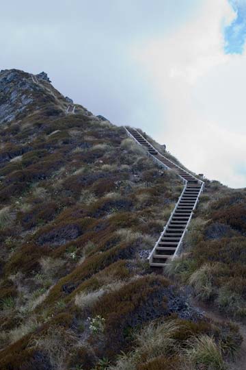 Stairway from Ridge Kepler Track