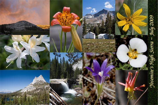 Yosemite's High Sierra