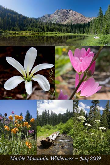 Marble Mountain Wilderness