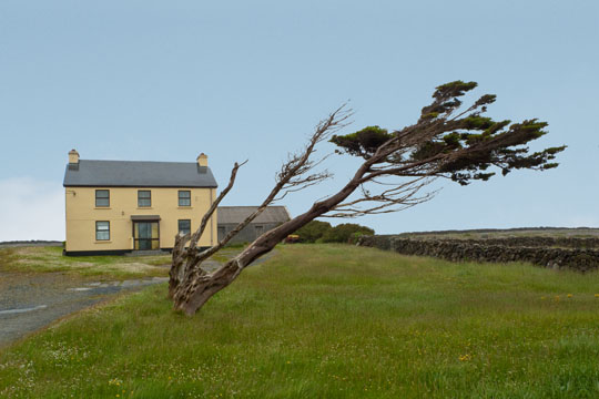 Windswept Inis Mór