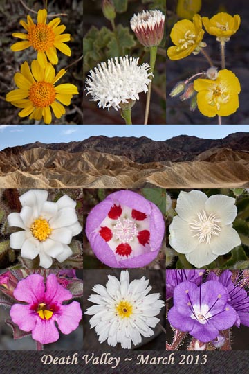 Death Valley