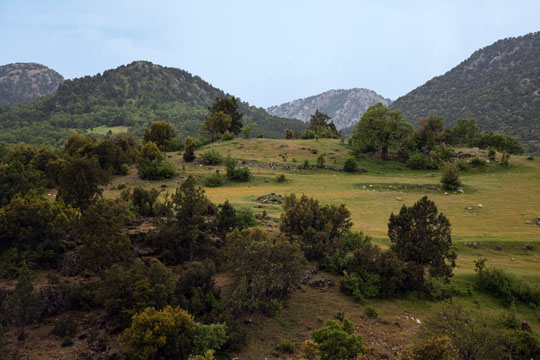High Meadow near Yukarıgökdere
