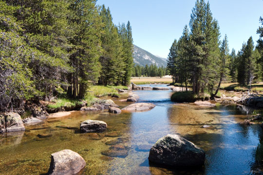 Lyle Fork of Tuolmine River
