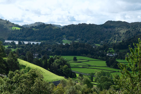 Along Tongue Gill