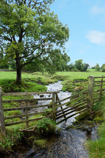 Gill Fence