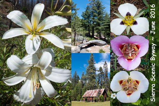 Sierra Scenic Byway