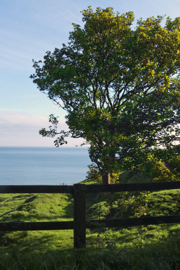 North Sea View