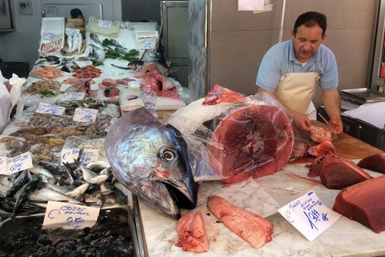 Palermo Fish Market